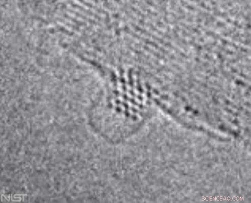 Scientists Capture First Images of Baby Carbon Nanotubes