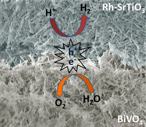 Revolutionizing Clean Energy: Low-Cost Artificial Leaf Produces Hydrogen Fuel