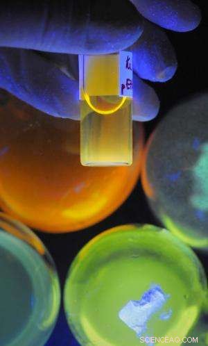 Precision Nanoparticle Delivery to the Liver: Colorful Innovations