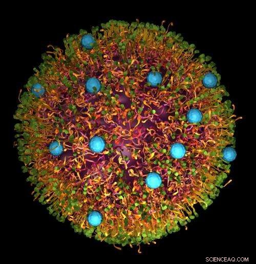 Precision Nanoparticle Delivery to the Liver: Colorful Innovations