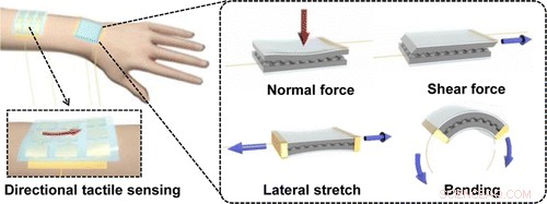 Revolutionary Stretchable Electronic Skin Detects Multi-Directional Pressure for Prosthetics and Robotics