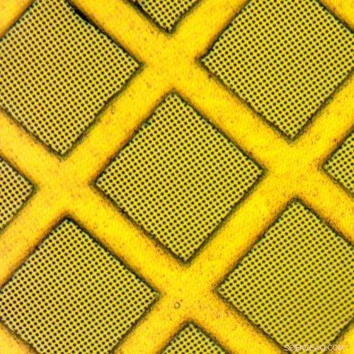 Gold Substrate Enhances Cryo-EM Imaging of Difficult Proteins