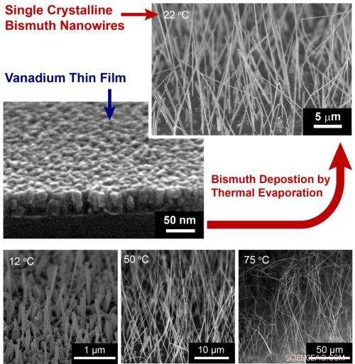 Scalable Production of High-Quality Bismuth Nanowires