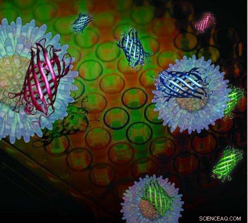 Revolutionary Nanoparticle Sensor Accelerates Accurate Cancer Drug Screening