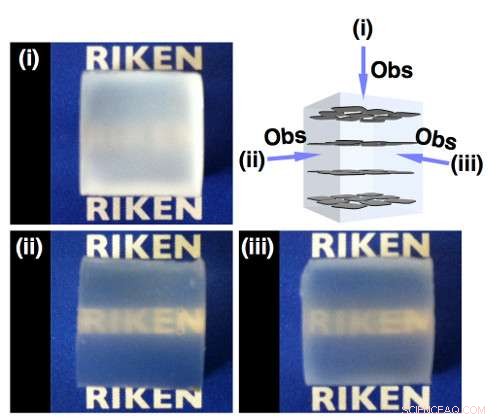 Revolutionary Hydrogel Harnesses Electrostatic Repulsion for Novel Material Properties