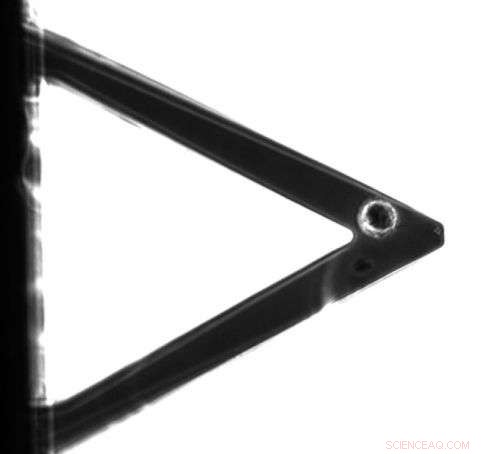 Revolutionary Mechanical Nanosensors Detect Alien Life by Tracking Microbial Motion