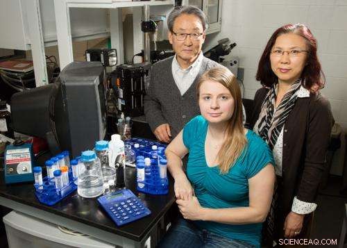 Gelatin Nanoparticles Show Promise in Delivering Drugs Across the Blood‑Brain Barrier