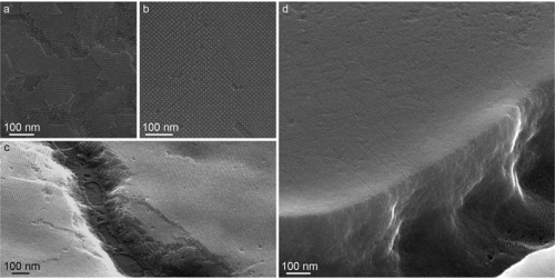 Uniform-Size Lead Sulfide Nanocrystals Synthesized by Researchers