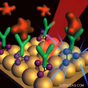 Rapid, Accurate Urine Test for Bladder Cancer Detection