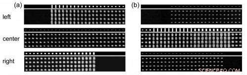 Metasurface Acts as Analog Computer, Solving Calculus Equations with Light
