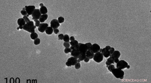 Gold Nanoparticles Offer New Pathway for Early Heart Attack Detection