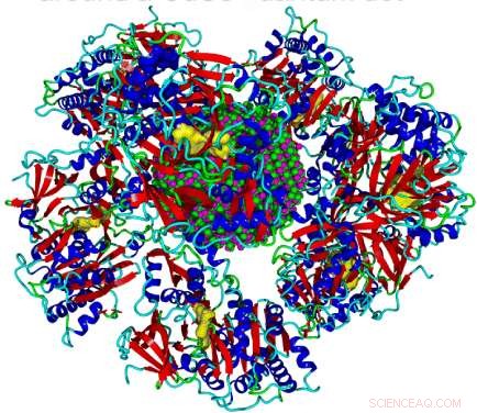 Advanced Quantum Dot Measurement Techniques for Bioimaging Applications