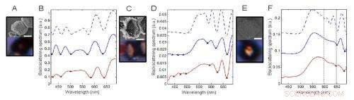 DNA-Driven Assembly of 3D Plasmonic Photonic Crystals: First DNA-Guided Colloidal Devices