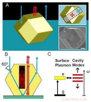 DNA-Driven Assembly of 3D Plasmonic Photonic Crystals: First DNA-Guided Colloidal Devices