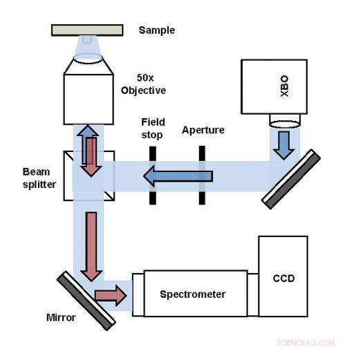 DNA-Driven Assembly of 3D Plasmonic Photonic Crystals: First DNA-Guided Colloidal Devices