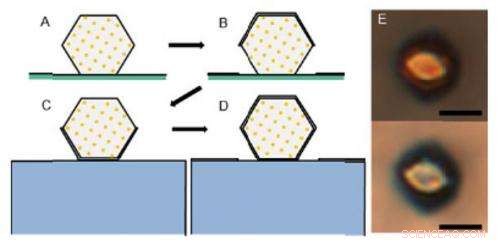 DNA-Driven Assembly of 3D Plasmonic Photonic Crystals: First DNA-Guided Colloidal Devices