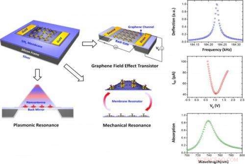 Engineers Create Multifunctional Graphene Biosensor Operating in Mechanical, Electrical, and Optical Modes