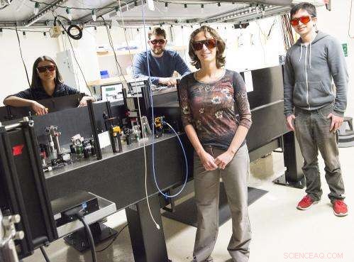 Decoding the Mysteries of Organic Semiconductors: A Breakthrough Study