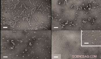 New Triggered-Release Technology Promises Faster, Targeted Drug Delivery