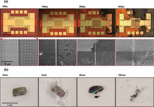 Water‑Soluble Silicon Enables Fully Dissolvable Electronics