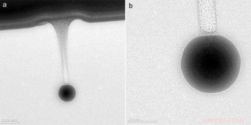 Gold Nanoparticles: Precision Nano‑Drilling in Ceramics for DNA Analysis