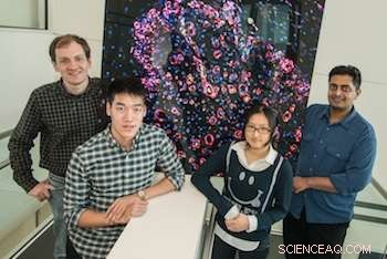 Rice University Unveils Advanced Injectable Scaffold Boosting Internal Healing