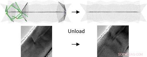 Silver Nanowires Reveal Surprising Self‑Healing Mechanism, Paving Way for Durable Electronics