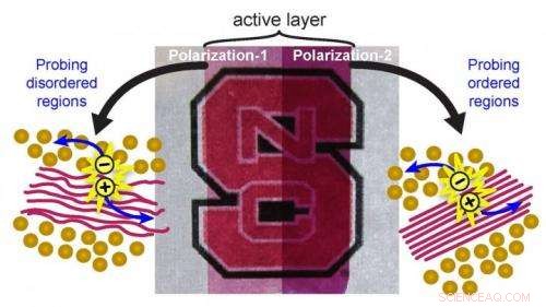 Innovative Method Reveals How Material Structure Drives Organic Solar Cell Efficiency