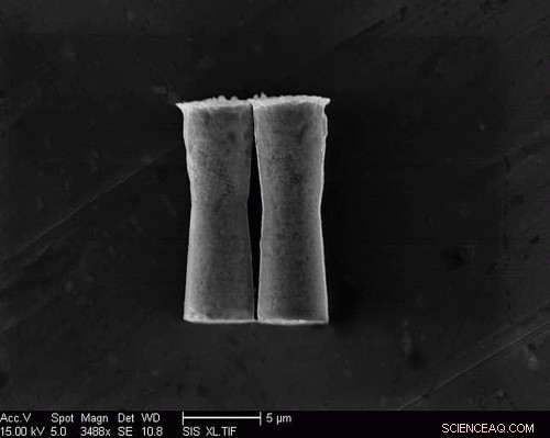 Stomach Acid-Driven Micromotors Successfully Tested in Living Animal