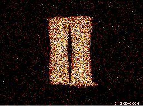 Stomach Acid-Driven Micromotors Successfully Tested in Living Animal