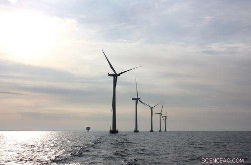 Carbon Nanoballs: A Breakthrough for Sustainable Energy Solutions