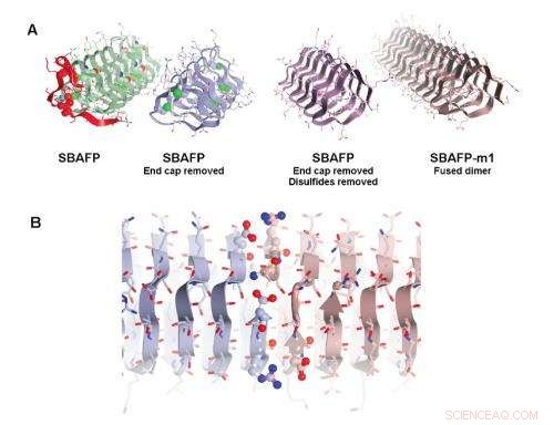 Designing Self-Assembling Amyloid Fibers for Nanotech Applications