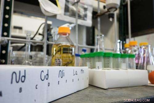 Buckyballs: A Sustainable Solution for Metal Recovery from Water