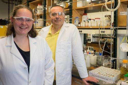 Buckyballs: A Sustainable Solution for Metal Recovery from Water