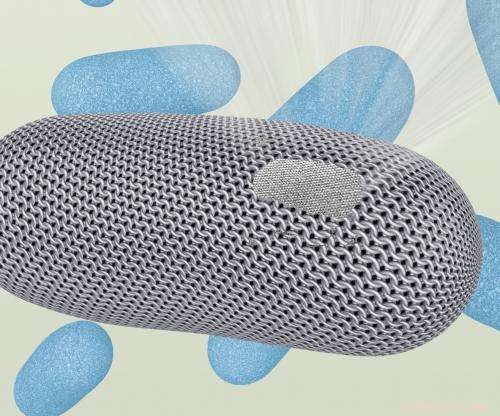 Bacterial Armor Reveals Secrets of Self-Assembling Nanostructures