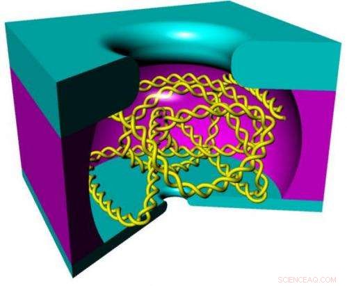 DNA Nanocage Boosts Precision in Nanopore Sequencing