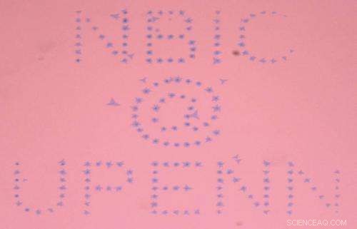 New Growth Technique Positions Molybdenum Disulfide as a Strong Graphene Rival