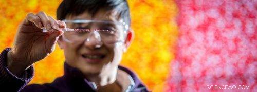 Nanorod Clusters Release Heat in Three Distinct Phases: New Insights