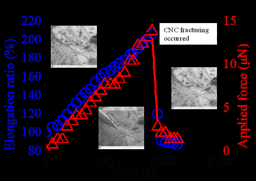 Real-Time Monitoring of Carbon Nanocoil Deformation Under Axial Load