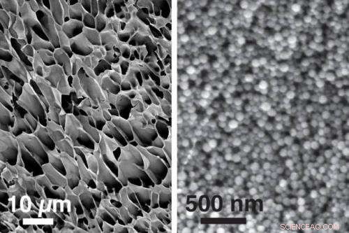 Advanced Nanogel Technology Enhances Targeted Drug Delivery