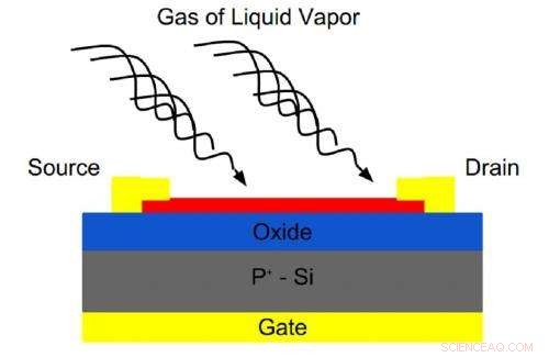 Researchers Build Ultra-Thin MoS2 Sensors for Precise Gas and Chemical Detection