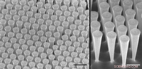 Silicon Micro‑Funnels Enhance Solar Cell Performance