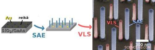 Aalto University Unveils Efficient Light‑Absorbing Nanowire Array