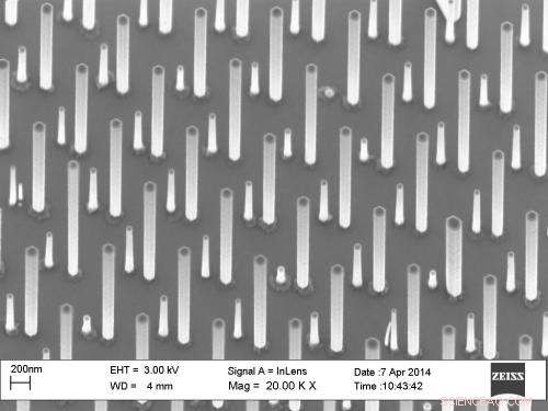 Aalto University Unveils Efficient Light‑Absorbing Nanowire Array
