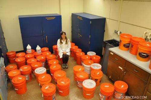 Scientists Deploy Lab-Scale Human Colon and Septic Tank Models to Investigate Copper Nanoparticle Environmental Impact