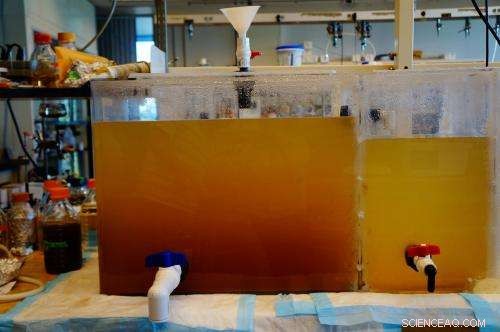 Scientists Deploy Lab-Scale Human Colon and Septic Tank Models to Investigate Copper Nanoparticle Environmental Impact