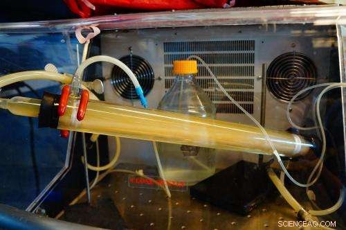 Scientists Deploy Lab-Scale Human Colon and Septic Tank Models to Investigate Copper Nanoparticle Environmental Impact