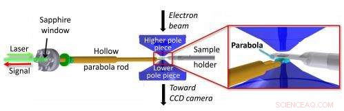 Revolutionary Imaging Method Reveals Nanoscopic Structures and Macroscopic Context Simultaneously