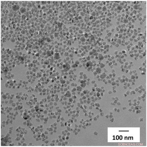 Flower‑Shaped Magnetic Nanoparticles Offer New Targeting for Hard‑to‑Treat Tumors