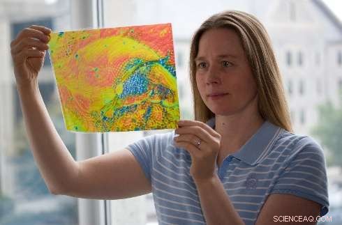 Experts Call for More Research on Cellulose Nanocrystals  Health Impact